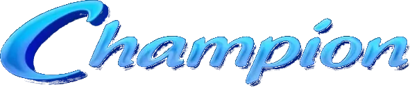 Чемпион